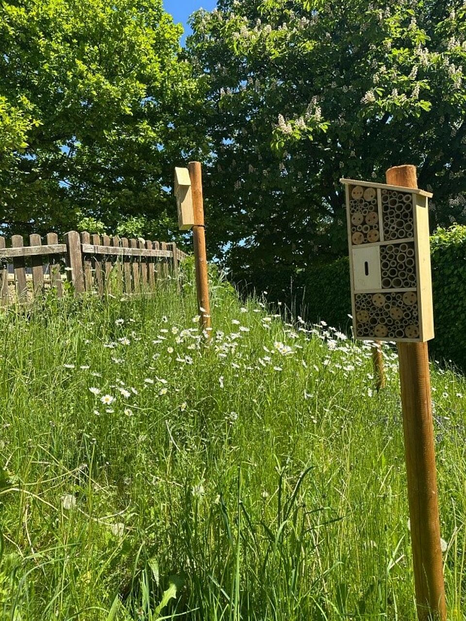 2025-06_Sonnenland_Außengelände02 Bienenhotel auf dem Außengelände des Kindergarten Sonnenland